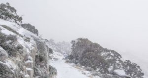 thredbo eagleway 160512