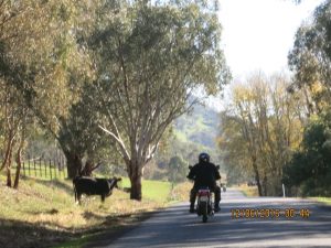 IMG_8675 (Large)
