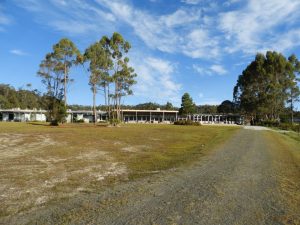 26 Lake Pedder
