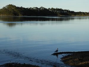 DSCN0176