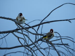 DSCN0193