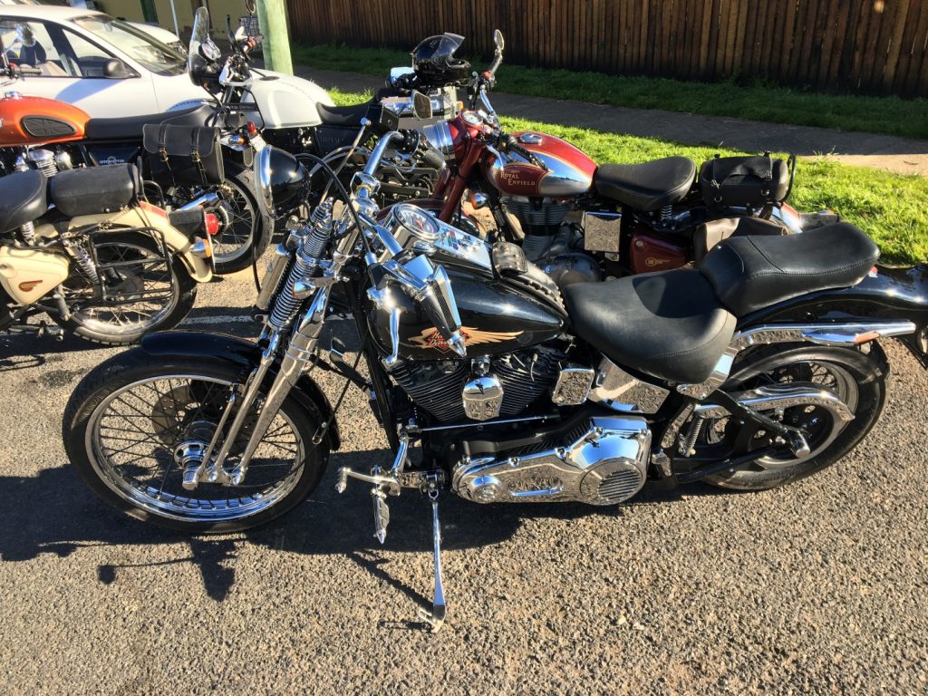 2bikes8