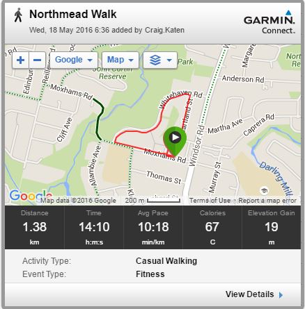 Daily walk with Roxy and Garmin